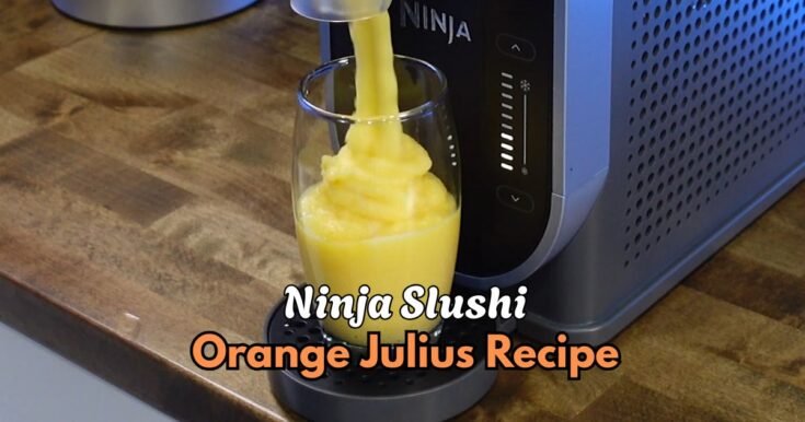 Ninja Slushi Orange Julius Recipe