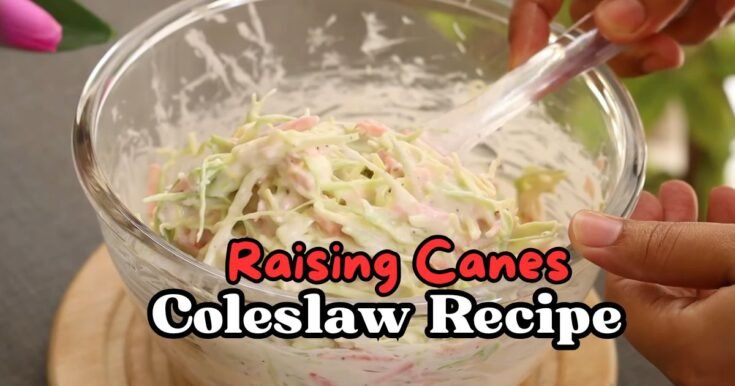 Raising Cane's Coleslaw Recipe