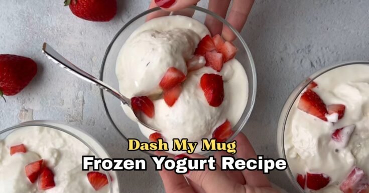 Dash My Mug Frozen Yogurt Recipe
